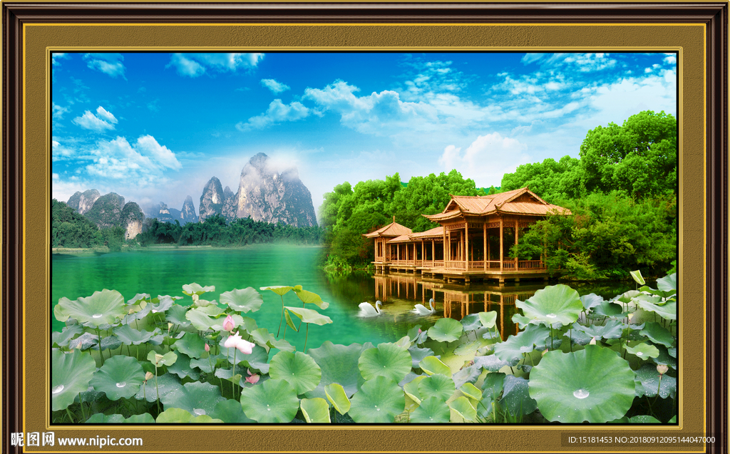 荷花风景