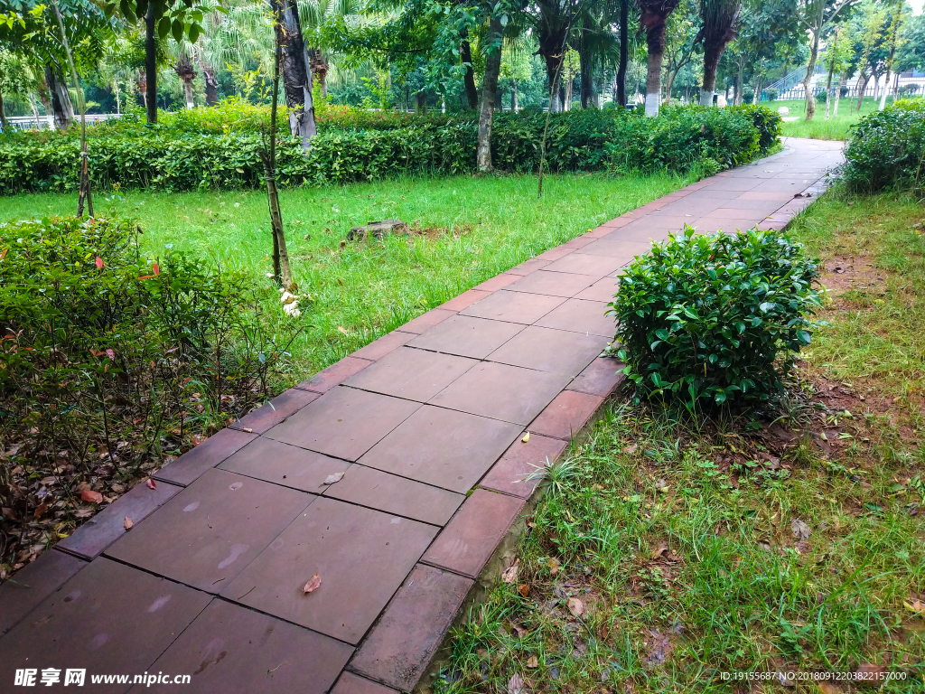 雨后小路