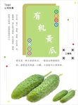 黄瓜海报