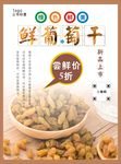葡萄干海报