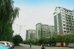 城市楼房