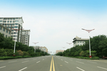 城市道路