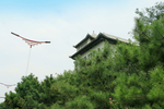 绛州新城