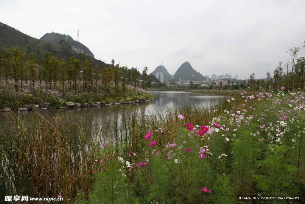 凉都湿地公园