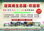 生态 农家乐展板 海报