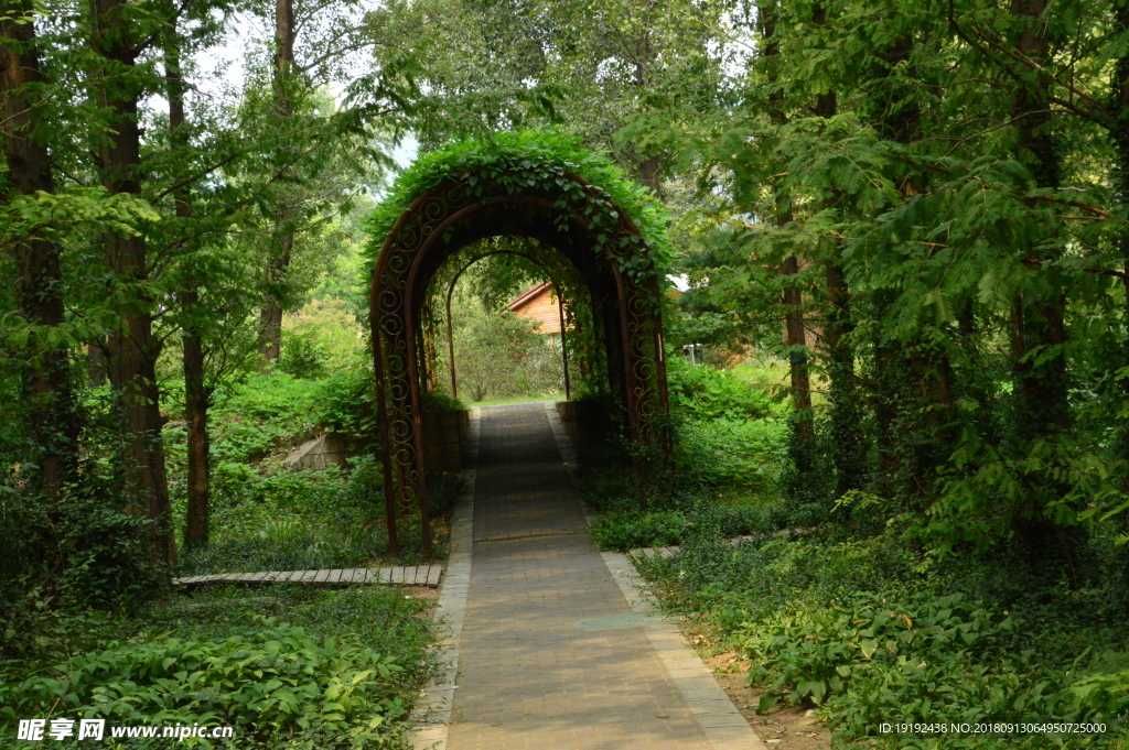 南植物园风景