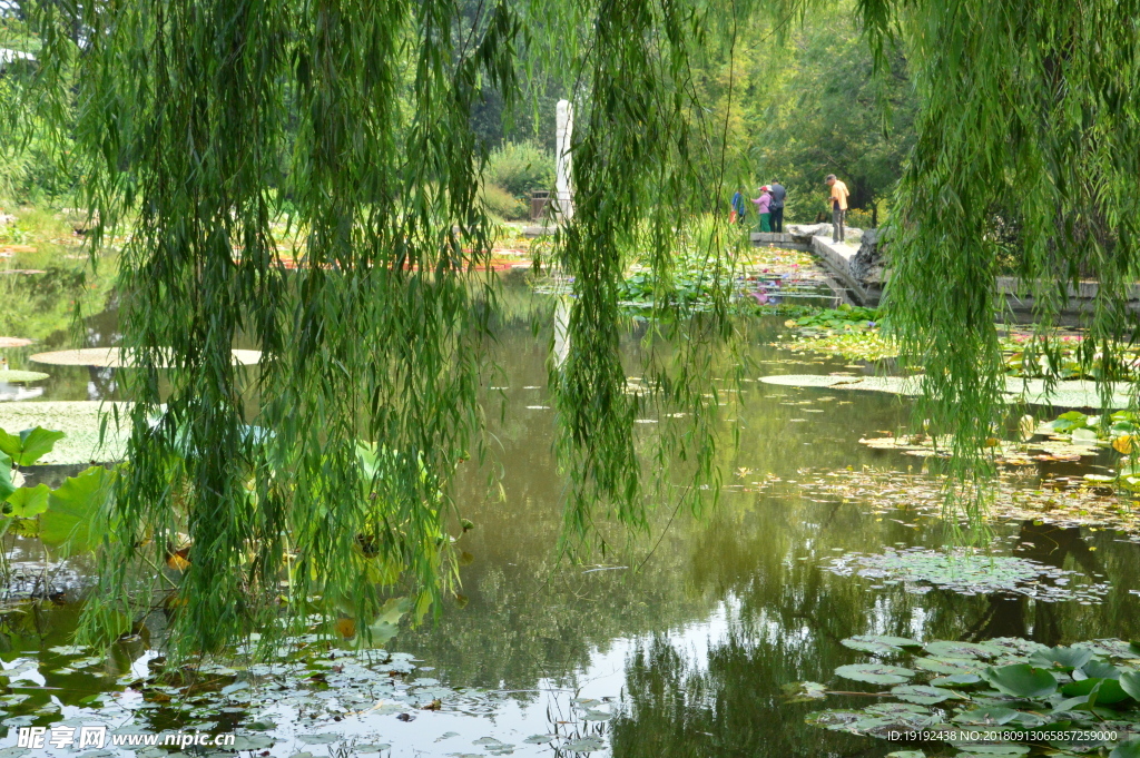 南植物园风景