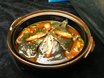 甲鱼