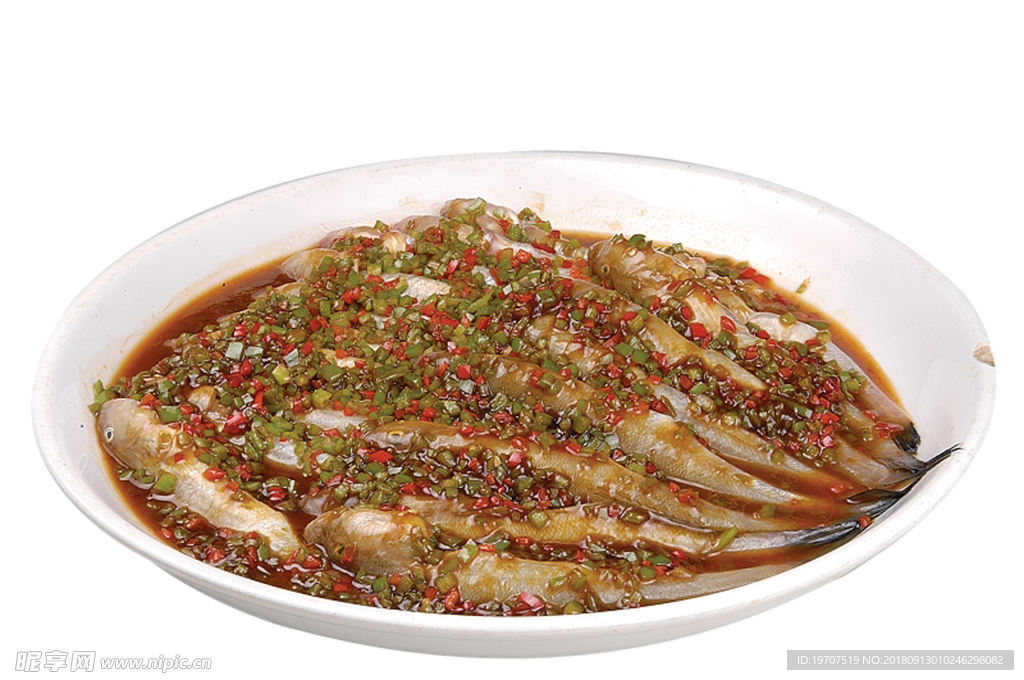 小鲇鱼