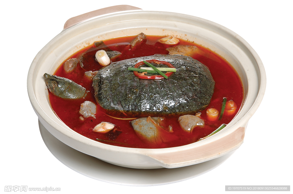 甲鱼