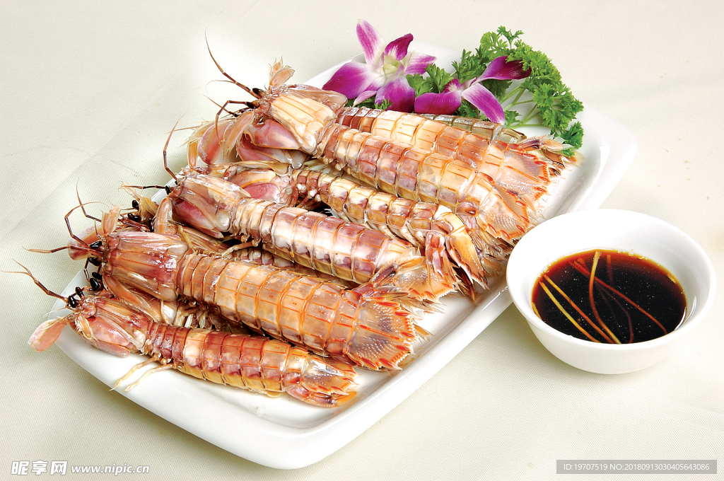 皮皮虾
