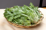 生菜