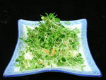 香椿拌豆腐