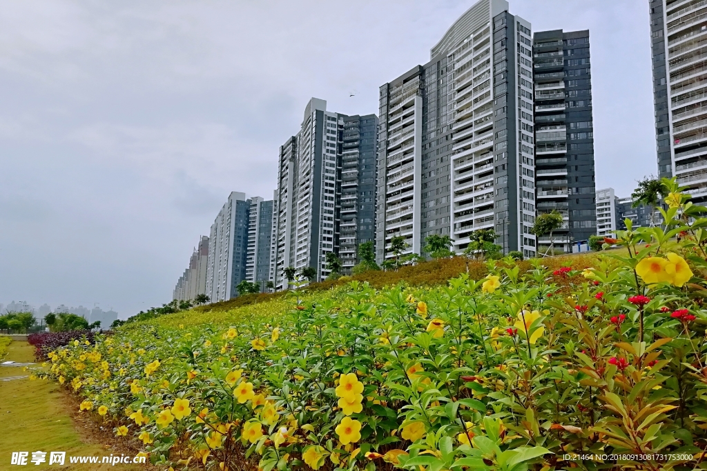 惠州风光