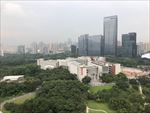 深圳 城市 建筑 摄影 高楼