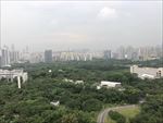 深大 大学 森林 城市