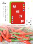 辣椒海报