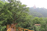 崂山
