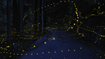 萤火虫夜景