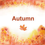 枫叶 autumn