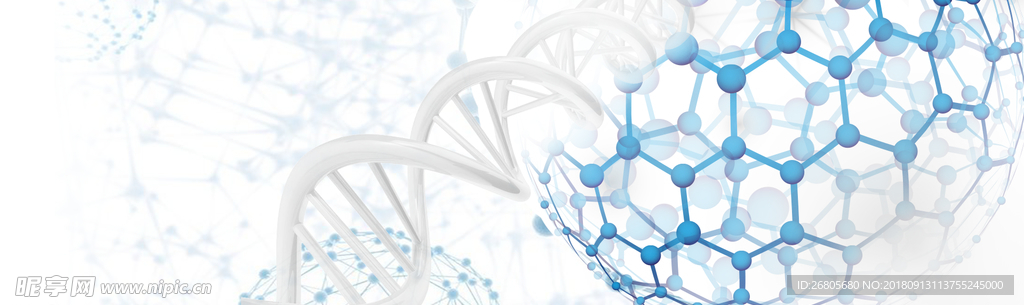 生物基因DNA