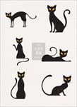 万圣节黑猫