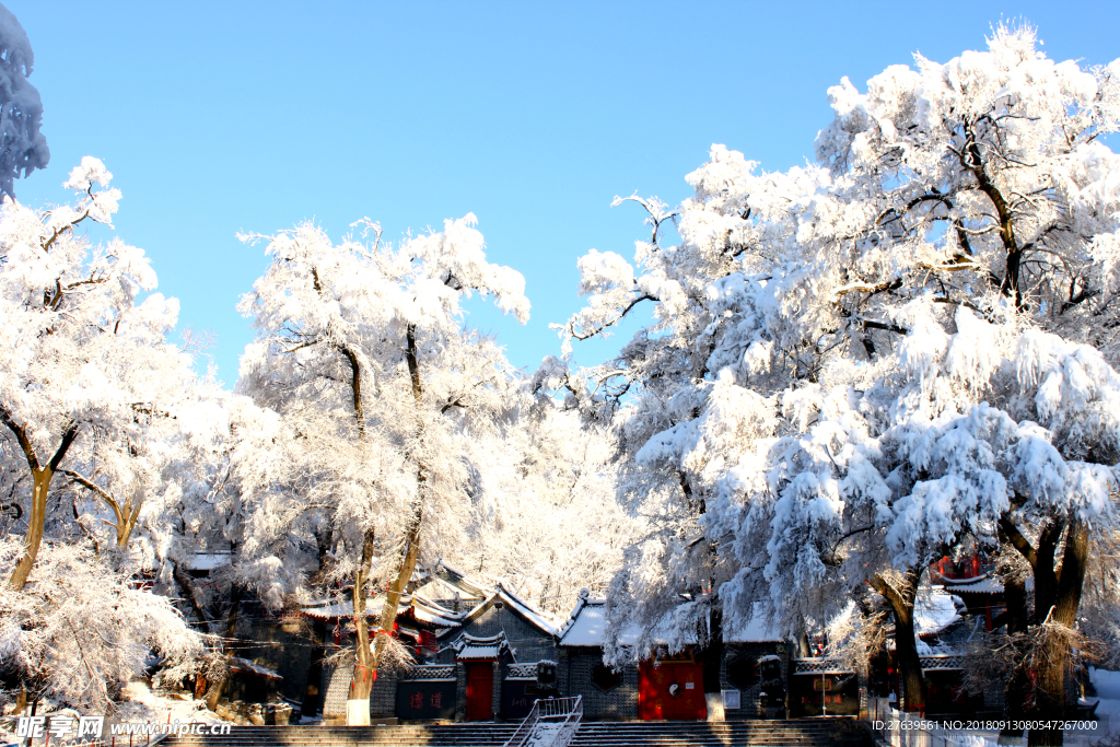 雪后风景