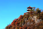 秋天的风景