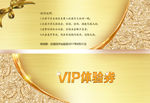 VIP体验券