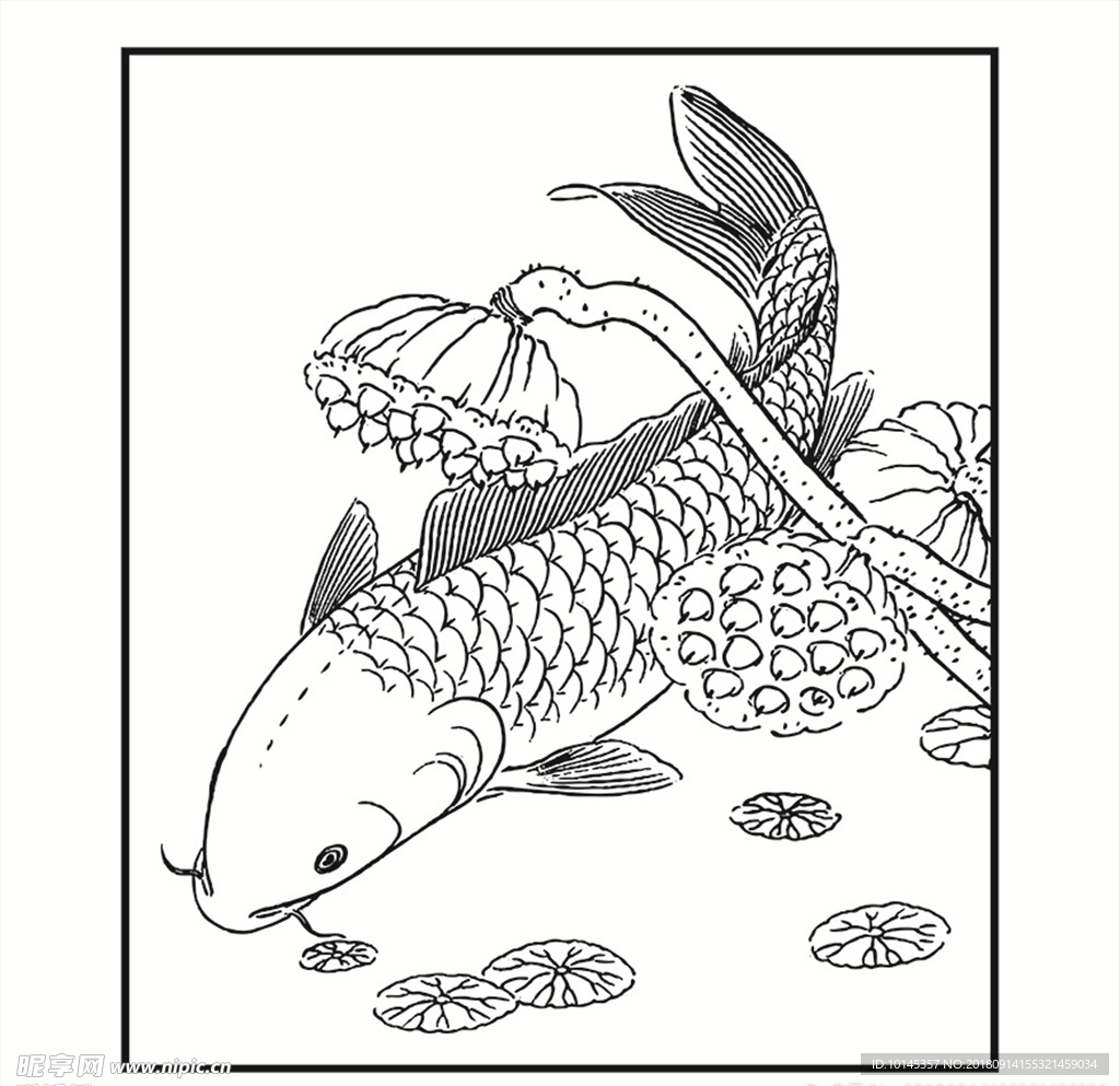 莲年有余