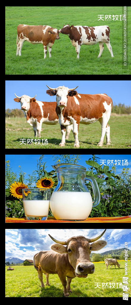 农牧业网站图片