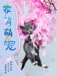 宠物海报