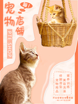 宠物海报