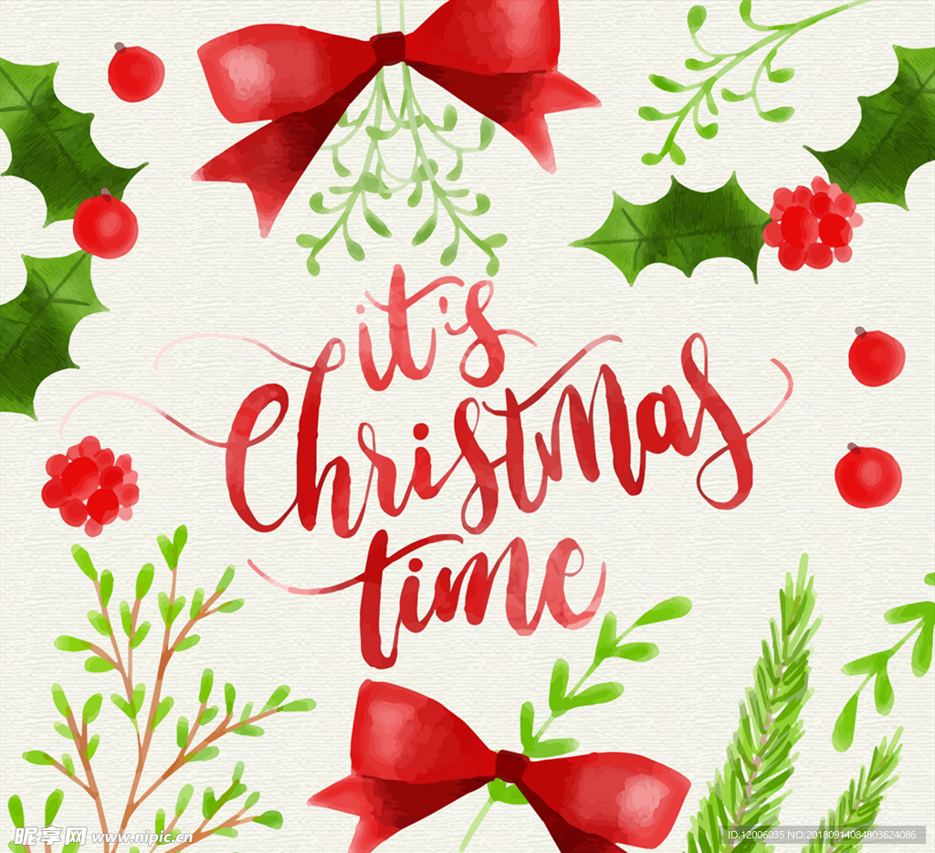 水彩绘圣诞节枸骨和树枝矢量图