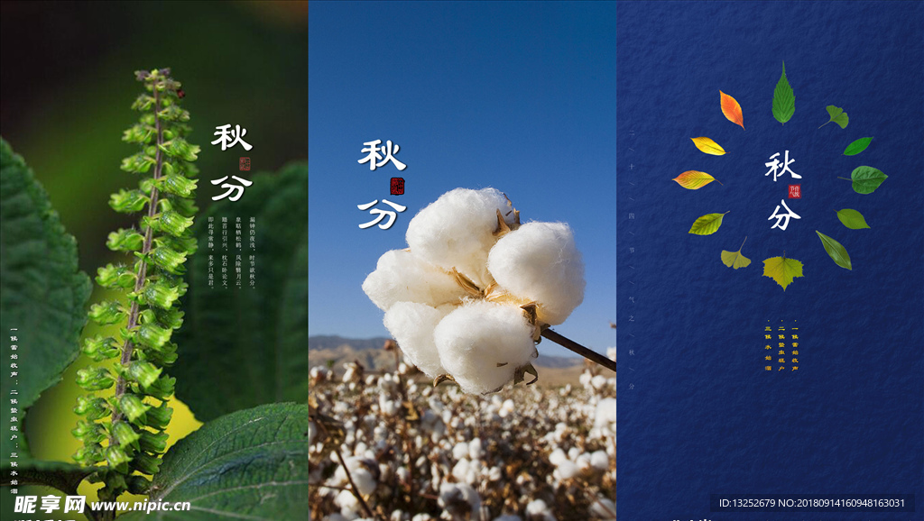秋分