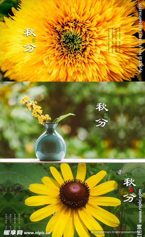 秋分