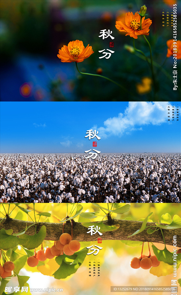秋分