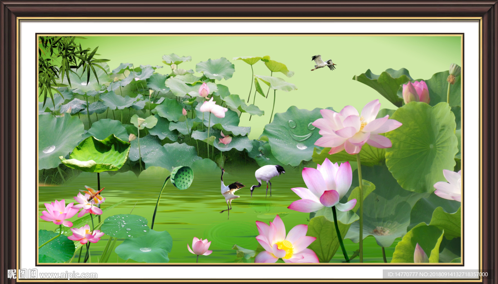 国画荷花