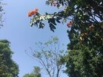 春暖花开