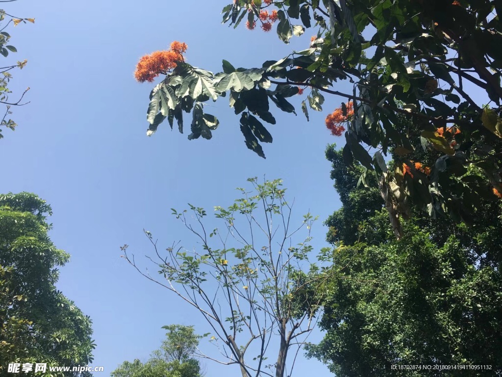 春暖花开