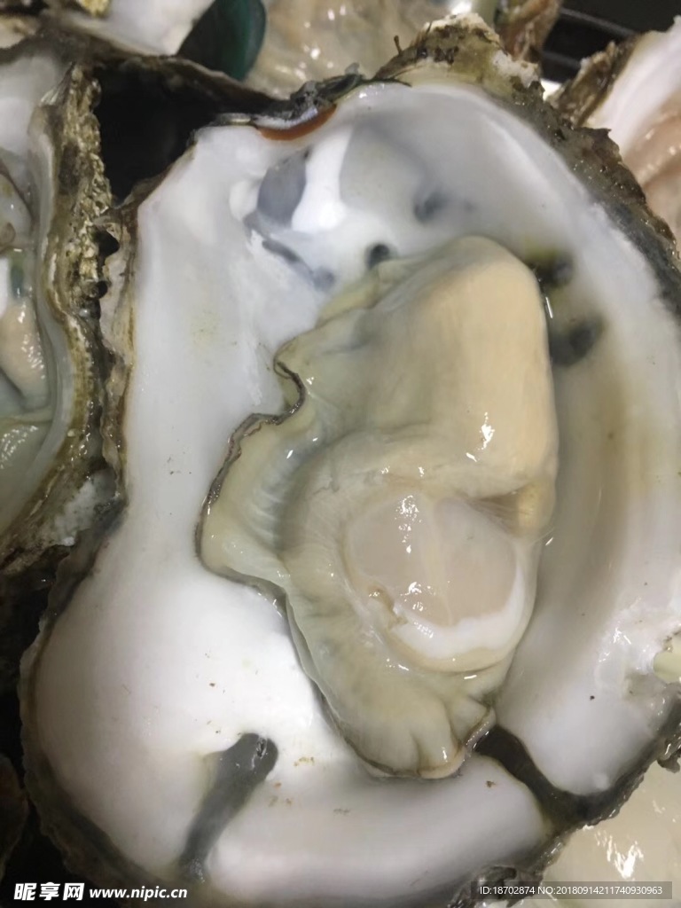 大生蚝