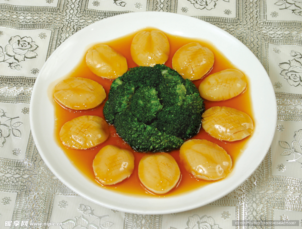 鲍鱼