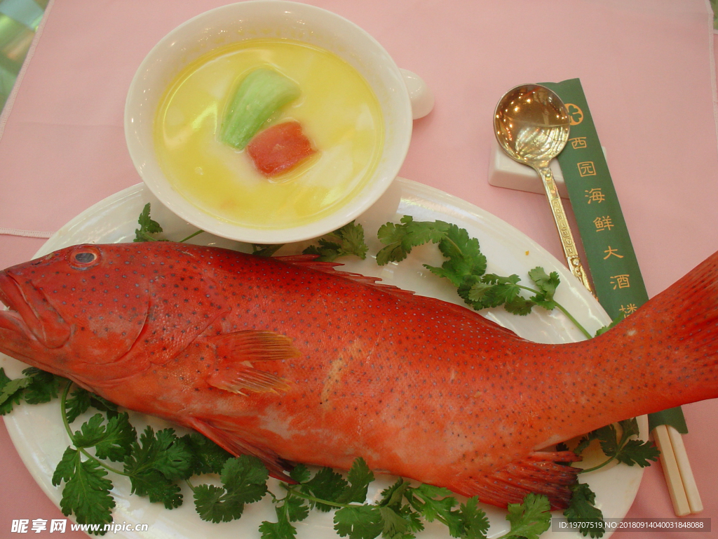 鱼翅