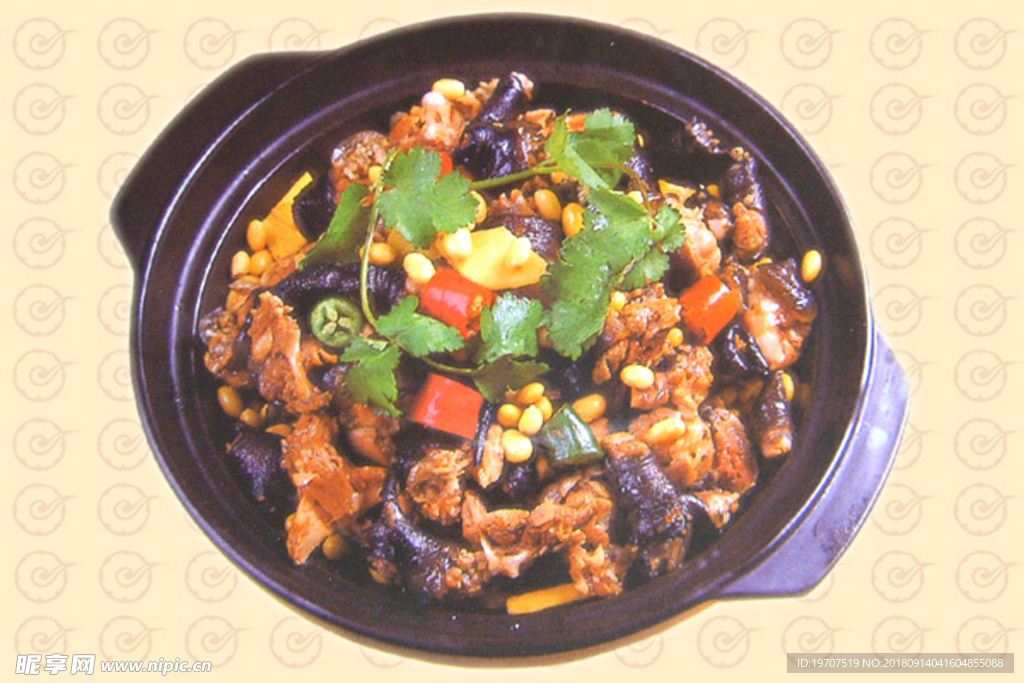 乌龟黄豆