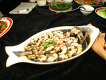 鲟鱼