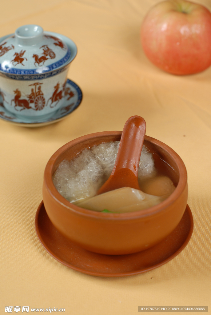 鱼翅翅宝
