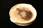 烧甲鱼