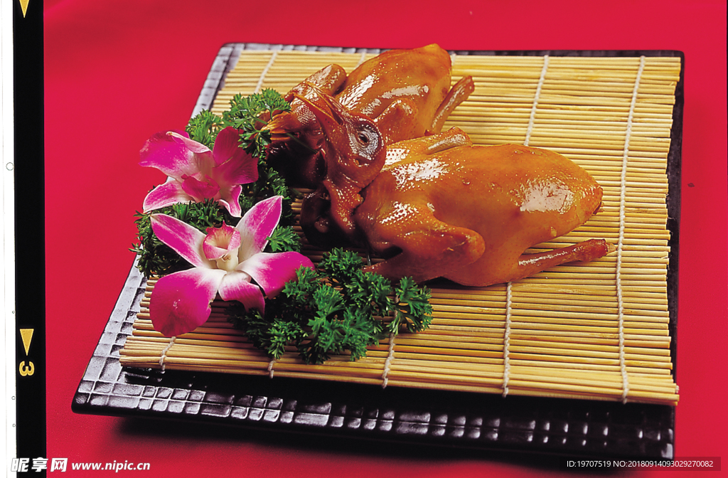 鸽子