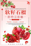 软子石榴