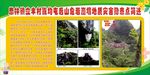 危岩崩塌地质灾害隐患简述